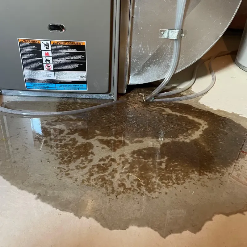 Appliance Leak Cleanup in Page County, VA